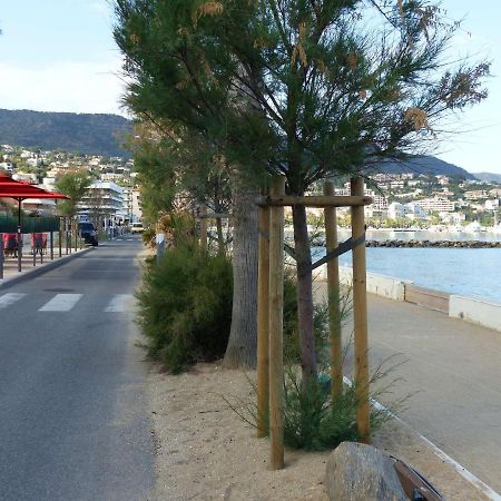 Studio Cosy Avec Tv Et Cuisine Equipee, Bord De Mer Le Lavandou - Fr-1-308-34 Luaran gambar